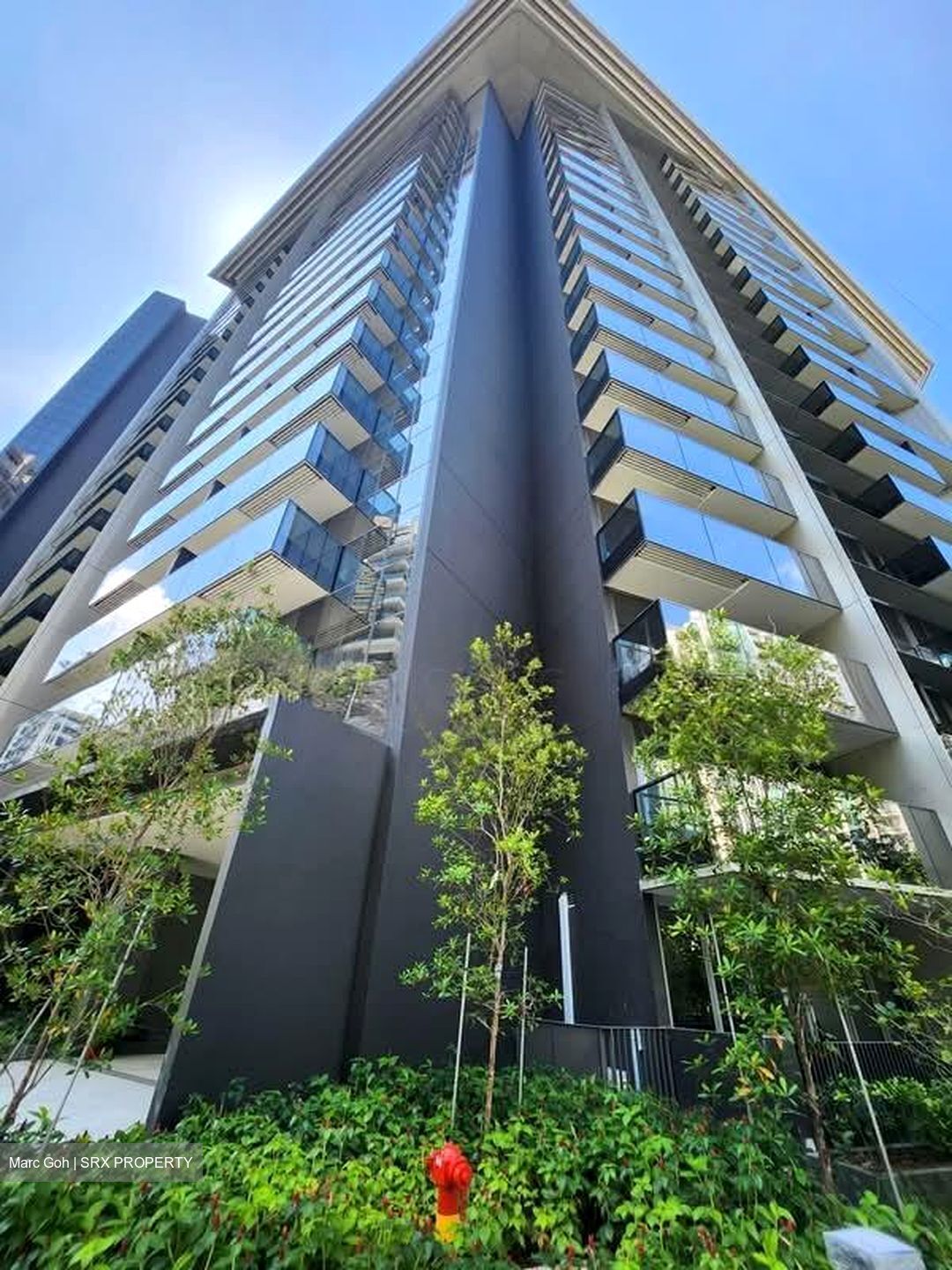 Normanton Park (D5), Apartment #560333091